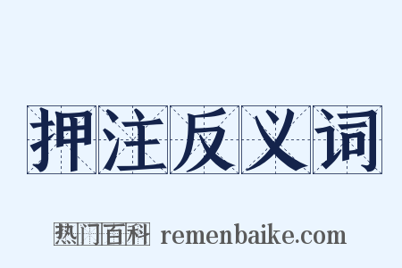 押注反义词是什么意思的图片